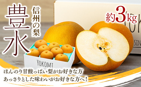 【2026年/令和8年発送分 】梨 長野 豊水 約 3kg 信州の梨 水分たっぷりジューシーな梨です フルーツ 果物 デザート なし ナシ ほうすい ホウスイ 産地直送 長野県 信州産