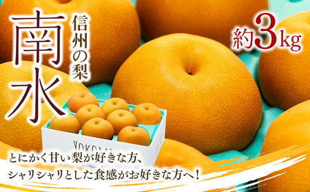 【2026年/令和8年発送分 】梨 長野 南水 約 3kg 信州の梨 フルーツ 果物 デザート おやつ なし ナシ なんすい ナンスイ 産地直送 長野県 長野県産 信州産 長野県箕輪町