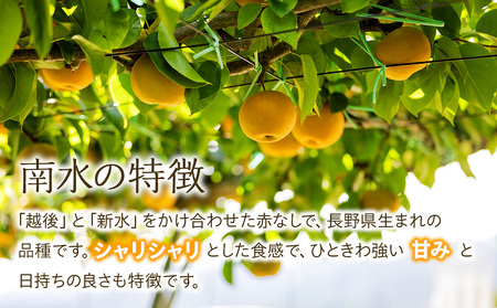 【2026年/令和8年度発送分 】 訳あり 梨 長野 南水 約 5kg 信州の梨 フルーツ 果物 デザート おやつ なし ナシ なんすい ナンスイ 産地直送 長野県 長野県産 信州産 長野県箕輪町