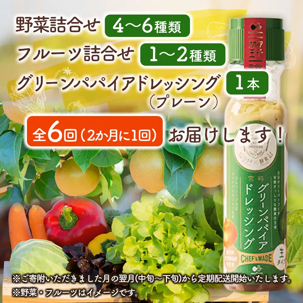 産地直送！旬の野菜・フルーツ＆野菜加工品 セット 全6回 隔月定期便 2か月に1回お届け おまかせ 詰合せ 宮崎県新富町産 F138-2608