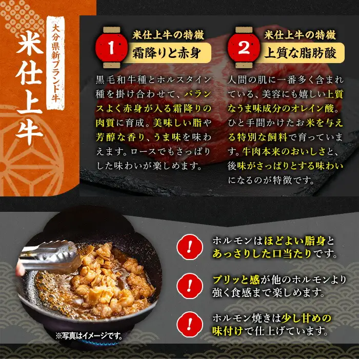 豊後米仕上げ牛 牛ホルモン炒め(計600g・200g×3パック)牛肉 お肉 小腸 おかず おつまみ 小分け 簡単調理 時短 惣菜【111100502】【神楽茶屋】