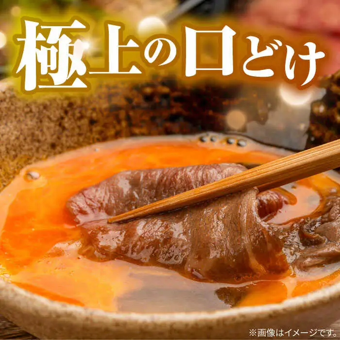 長崎和牛 A5 赤身 切り落とし(モモ・バラ) 1kg(250g×4) / 牛肉 和牛 モモ もも バラ バラ肉 すき焼き A5ランク 小間切れ / 諫早市 / 野中精肉店 [AHCW015]