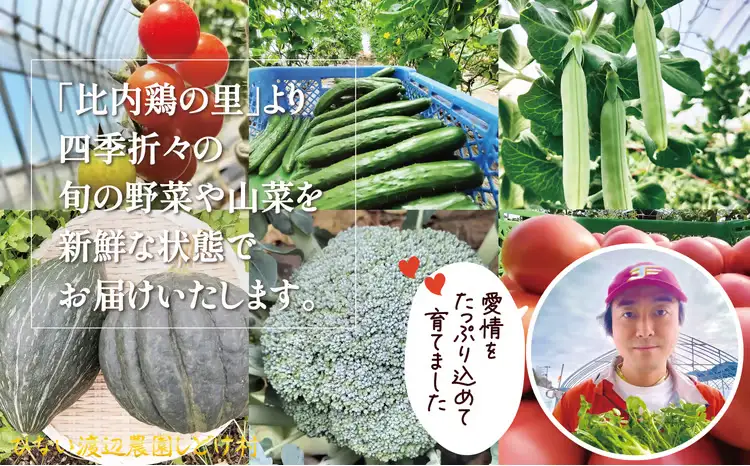 四季折々の野菜・山菜セット（5品目ほど）　45P3203【ひない渡辺農園しどけ村】