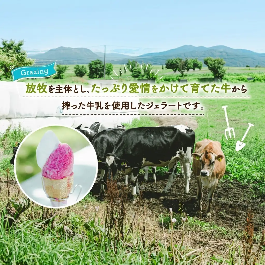 ジェラート まきばのジェラート かぼちゃ 北海道 ジェラート【130ml×6個】【無地熨斗】