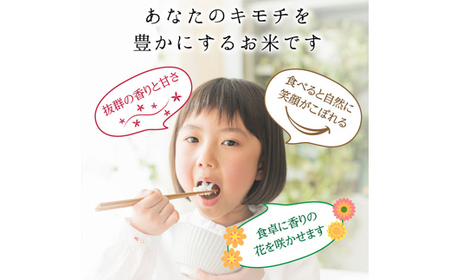 富山県ブランド米 富富富 精米 5kg ふふふ ブランド米 国産 米 お米 日本米 ギフト 贈り物 備蓄 防災 食品 陽咲玲 はるざれ F6T-1008