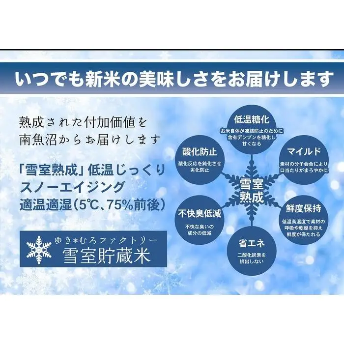 【令和7年】【定期便5kg×12回】雪室貯蔵米 南魚沼塩沢産コシヒカリ　|  コシヒカリ