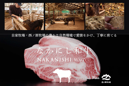 【生産者直送】なかにし和牛赤身焼肉 -特上-（黒毛和牛 小林市産 国産 牛肉 和牛 赤身 焼肉 産地直送 送料無料） 焼肉 和牛焼肉 牛肉焼肉 西ノ原牧場