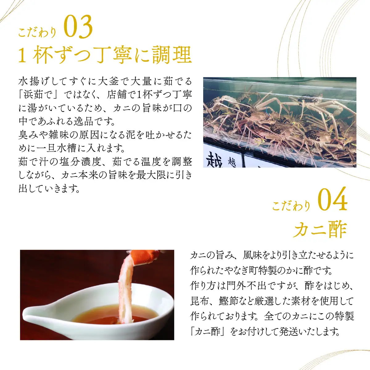 年中旨い蟹を堪能！老舗カニ料理専門店の「越前ズワイガニ甲羅盛」1個（200g前後）[C-085001] / ズワイガニ