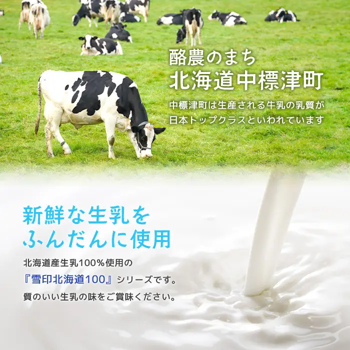 雪印北海道「さけるチーズ」３種セット【1404201】