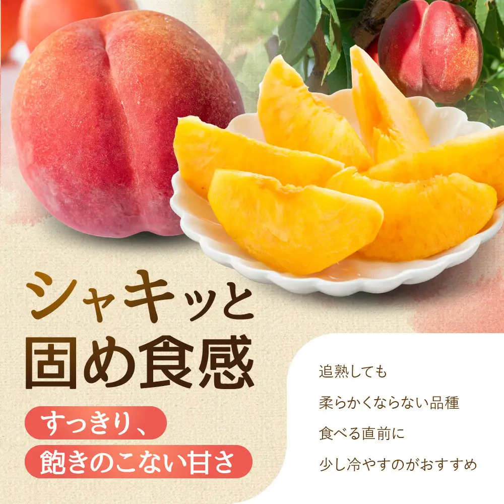 長野県長野市産　旬の桃ワッサー約２kg箱 | 桃 もも モモ もも