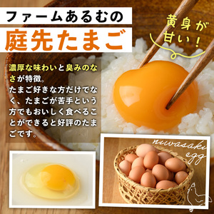 【定期便3回】平飼い 昔ながらの庭先 たまご 40個 サイズ混合 卵 玉子 【ファームあるむ】C7048