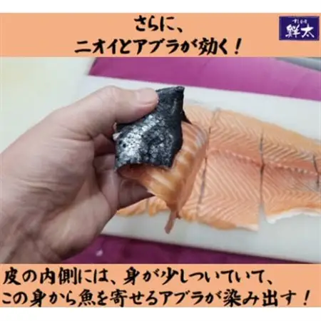 釣りエサ用「鮭の皮」フリーカット約800g(深海・中深海釣りなど)お好きなサイズにカットしてください_雑貨・日用品 アウトドア用品 スポーツ・アウトドア用品 _【配送不可地域：離島】【1502931】