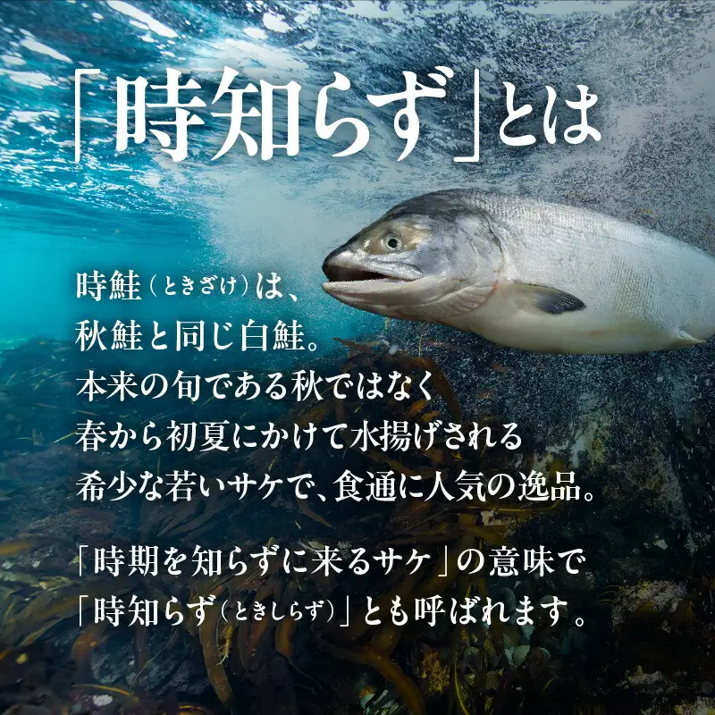 2種食べ比べセット 28切 （紅鮭14・時鮭14）_HD060-011