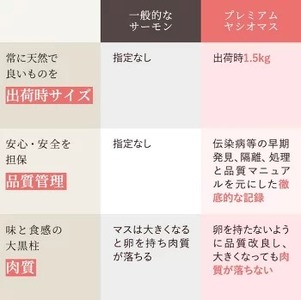【【国産】高級サーモン】【皮なしフィレ 約1kg】産地直送 おつまみ 高級 ※沖縄・離島への配送不可