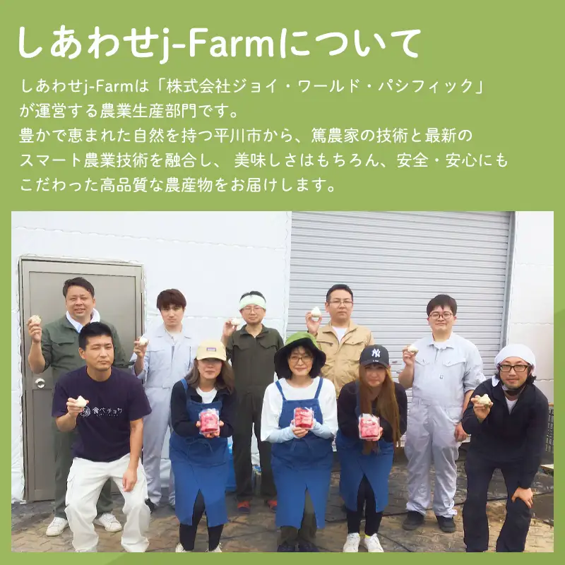 青森県産黒にんにく 100g×2パック[hi-0028-004]