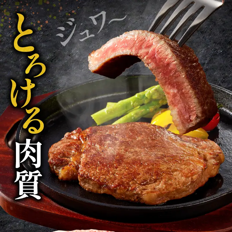 牛肉 ステーキ 牛肉[宮崎牛 ヒレ 600g]