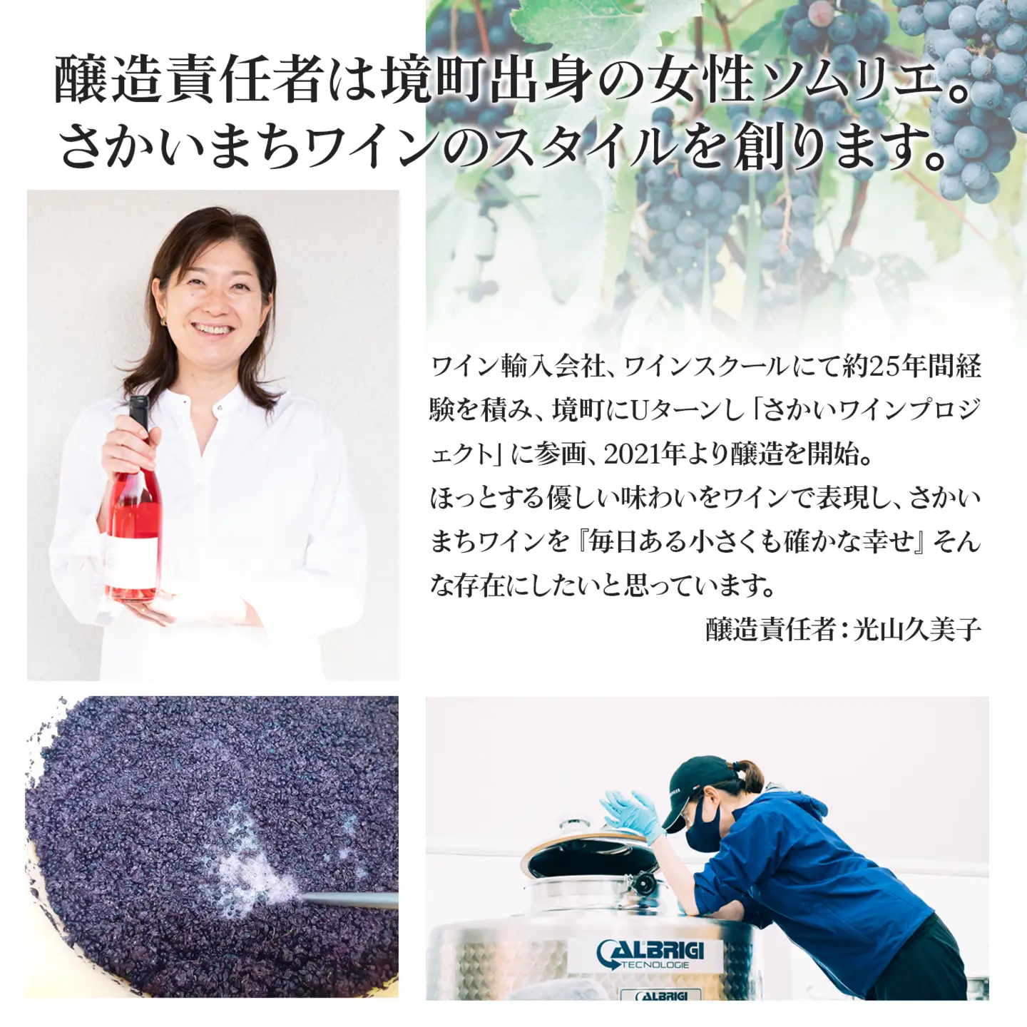 【3ヶ月定期便/毎月連続お届け】 ワイン おまかせ 飲み比べセット 750ml×2本 さかいまち