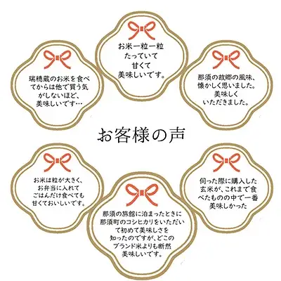 【定期便6ヶ月】那須町産コシヒカリ5kg×2袋〔P-279〕｜米 お米 国産 白米 ご飯 ごはん ゴハン 国産 那須 栃木県 那須町 水車の里 瑞穂蔵　※沖縄・離島への配送不可
