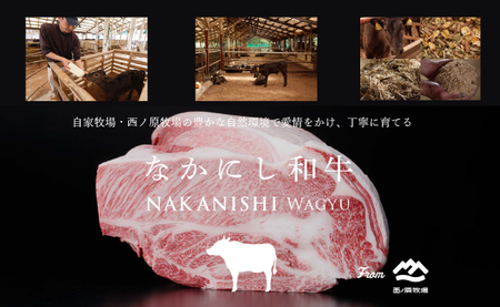 【生産者直送】なかにし和牛赤身焼肉 -上-（黒毛和牛 小林市産 国産 牛肉 和牛 赤身 焼肉 産地直送 送料無料） 焼肉 和牛焼肉 牛肉焼肉 西ノ原牧場