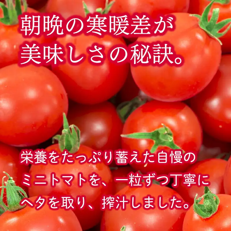 無添加 ミニトマトジュース 1L×6本セット[hi-0040-001]