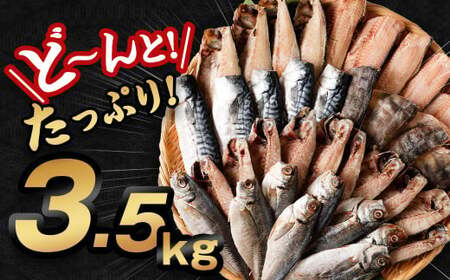 【訳あり規格外】  業務用 干物 詰め合わせ どーんと！ 3.5kg 3種 セット さば サバ 鯖 縞ほっけ ほっけ ホッケ あじ アジ 鯵 魚