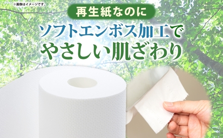 プリオール・ピコ トイレット ペーパー 1.5倍巻き ダブル 45m 12ロール 6パック 日本製 まとめ買い リサイクル 防災 常備品 トイレ トイレットペーパー 消耗品 日用品 備蓄 送料無料 北海道 倶知安町 倶知安町 