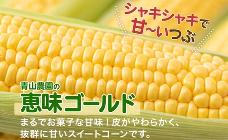 とうもろこし めぐみゴールド 雪の妖精 食べ比べ 北海道産 とうもろこし【5kg】【先行予約】
