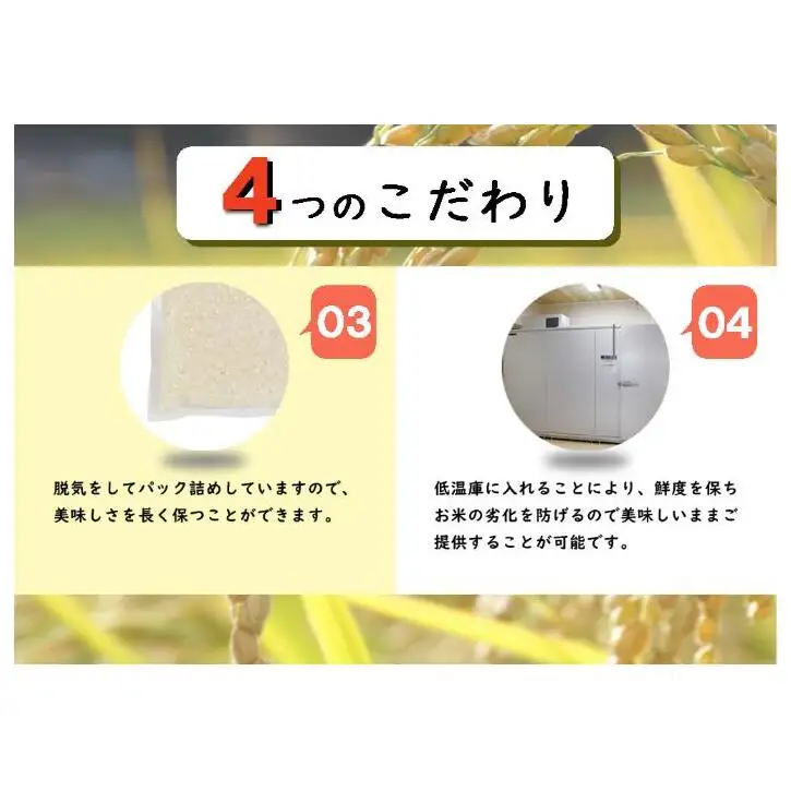 令和８年産米　先行予約【無洗米】魚沼産川西こしひかり1合×10袋 ＜令和8年10月下旬～発送予定＞