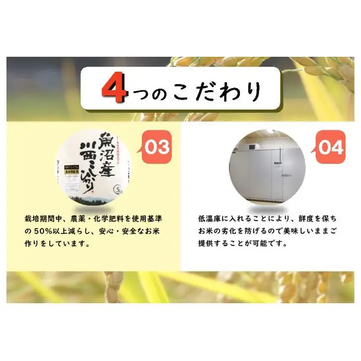 令和８年産米　先行予約【無洗米】魚沼産川西こしひかり5kg＜令和8年10月下旬～発送予定＞