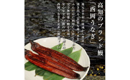 《上》うなぎの蒲焼き4尾セット (約660g) オリジナルタレ 山椒付き 