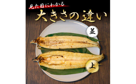《上》うなぎの蒲焼き・白焼き2尾セット（約330g） オリジナルタレ・山椒付き