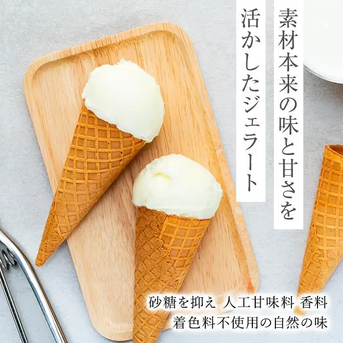 【訳あり】藤井牧場 ミルク ジェラート 1.25リットル 
