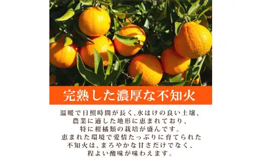 紀州 有田産 不知火 (しらぬひ)  2.5kg ※2027年2月中旬頃〜3月中旬頃発送予定 【uot794】