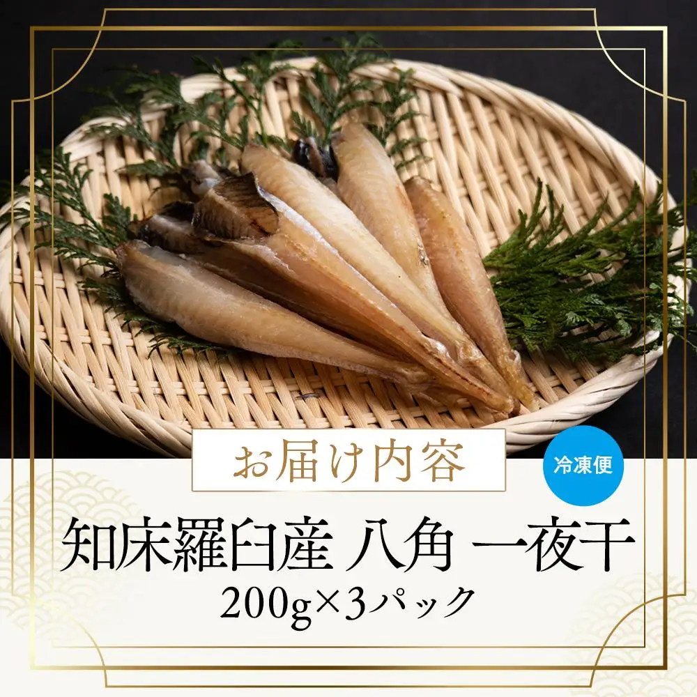 羅臼産 八角（ハッカク）一夜干し200g×3パック 魚 八角 北海道