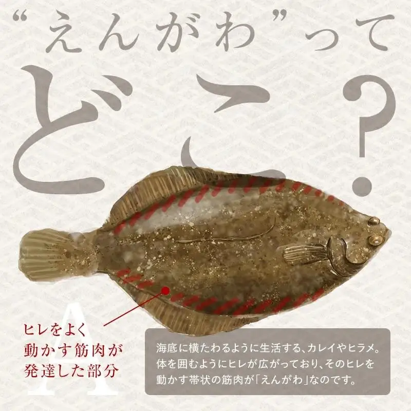 【2026年8月発送】『えんがわわさび』（400g）カレイ エンガワ 魚介類 海産物 海鮮 寿司 酒の肴 北海道 羅臼 知床
