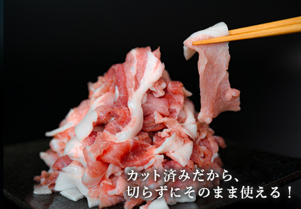 【訳アリ】国産 豚肉 豚コマ 4kg 豚こま こま切れ 切り落とし ブランド豚 大容量 家庭用