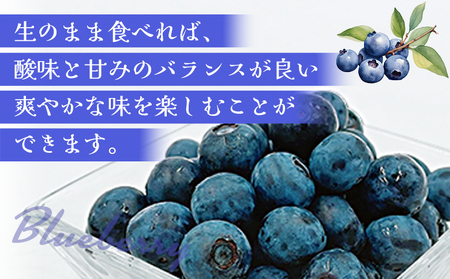 ＜愛媛県西予市産 ブルーベリー 約1kg（100g入り×10パック）＞ ぶるーべりー 果実 果物 生 くだもの フルーツ 国産 小分け ジャム スムージー 株式会社フジ・アグリフーズ 愛媛県 西予市【冷蔵】『2025年7月～8月末迄に順次出荷予定』OFA0006