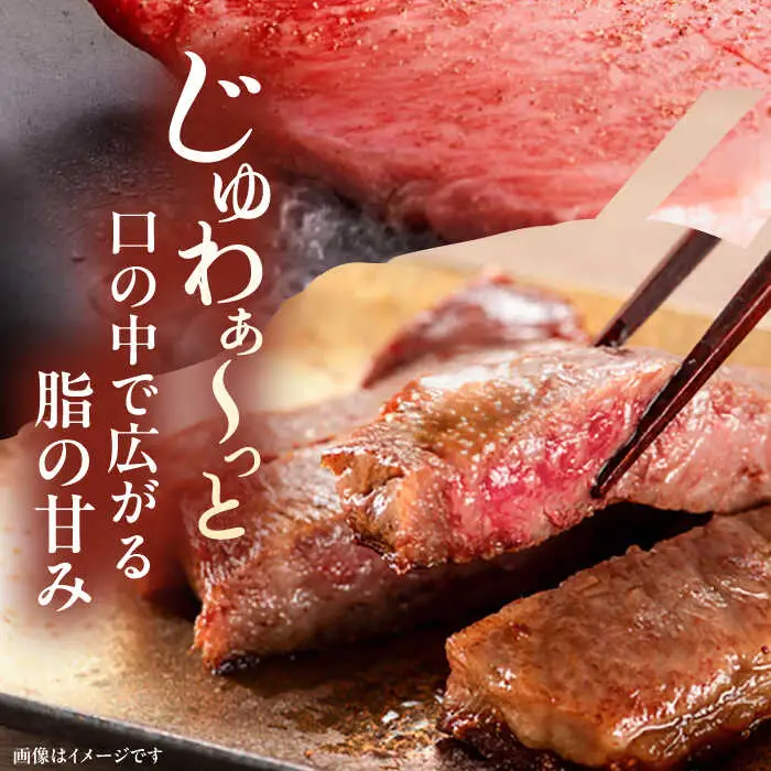 【全3回定期便】博多和牛 サーロイン ステーキ 200g × 5枚 ▼ 牛 肉 和牛 [ADBM021]