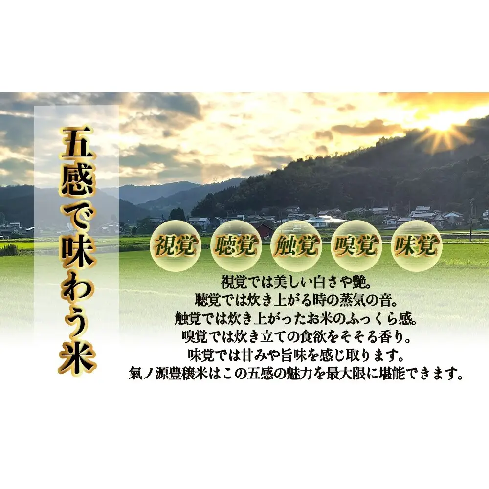 お米自慢コンクール優秀賞！  令和7年産 富山県産コシヒカリ 玄米 10kg  富山県 氷見市 こしひかり R7