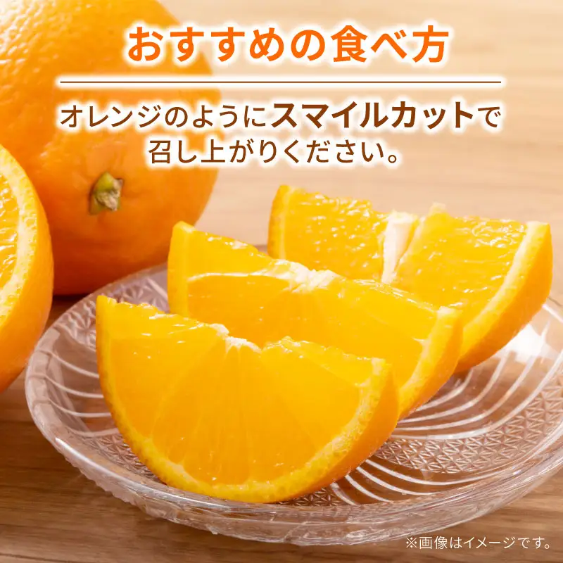 【紅まどんなと同品種】 訳あり みかん 愛果28号 まどんな ハウス栽培 約3kg ハマみかん 【 訳あり みかん 】 B010-075009
