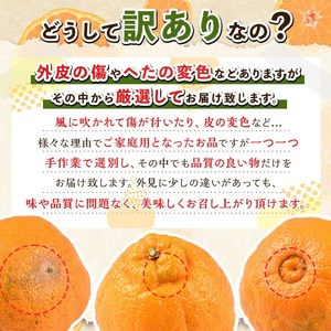 ＜先行予約受付中！2027年3月下旬以降順次発送予定＞ 数量限定！訳あり・ご家庭用！おおの果樹園の「大将季」(計2kg) 訳あり 訳アリ 果物 フルーツ 果実 柑橘 露地栽培 無加温 みかん 期間限定 家庭用 自宅用 【おおの果樹園】akn087-01