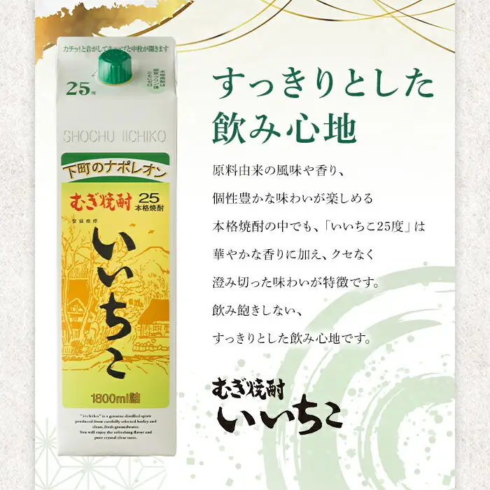 ＜定期便・全3回(連続)＞いいちこ 25度 パック(総量16.2L・計5.4L×3回)酒 お酒 むぎ焼酎 1800ml 麦焼酎 いいちこ 常温 三和酒類 紙パック【206100101】【酒のひろた】