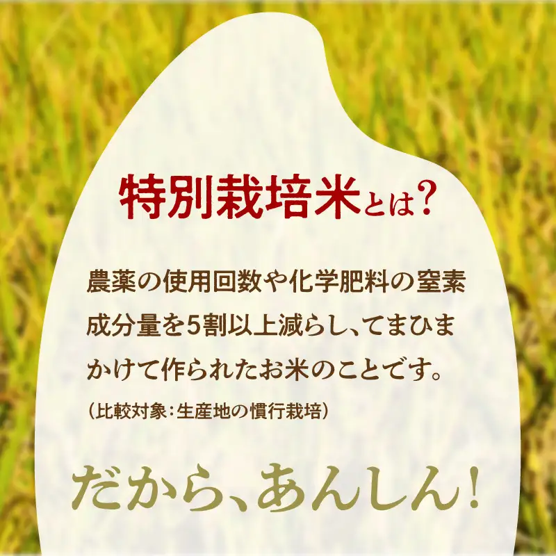 令和8年産 特別栽培米コシヒカリ 丹後椿（京丹後森本産） 5kg