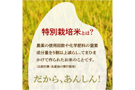 令和8年産 特別栽培米コシヒカリ 丹後椿（京丹後森本産） 5kg【定期便6回】