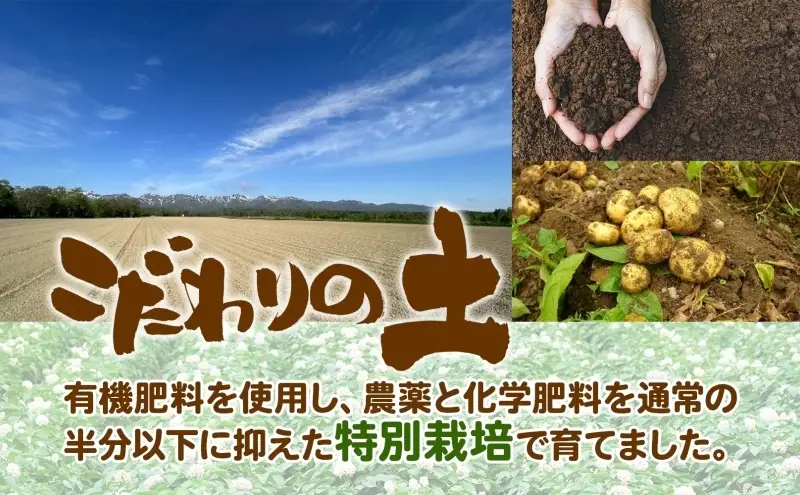 ＜2026年秋以降出荷＞ 北海道 じゃがいも 男爵 M～L 約4kg 特別栽培 ジャガイモ 馬鈴薯 だんしゃく 芋 いも イモ ポテト 野菜 農作物 国産 ホクホク 甘い  お取り寄せ 産地直送 北海道産 畑農場 送料無料 幌加内