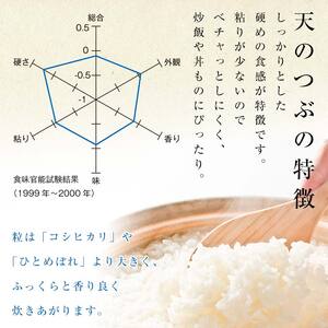 2026年産米 さいとう農園が作った天のつぶ 精米5kg 白米 【先行予約】2026年11月下旬より順次発送 ご飯 ごはん ライス 伊達市 F21C-167
