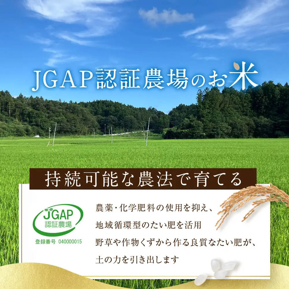 令和8年産 つや姫 10kg（5kg×2袋）｜8年産米 新米予約 つや姫 宮城県角田市産 米 コメ 白米 精米 角田健土農場