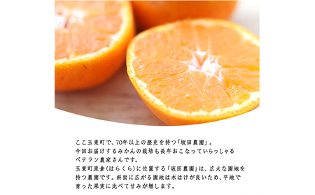 みかん ご家庭用  約 5kg 坂田農園 みかん