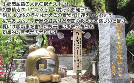 定期便 12ヶ月 明太子 さかえや 頑張れ小郡市！ 蔵出し明太子 ギフト 300g×毎月 12回 オリジナルマグネット付 