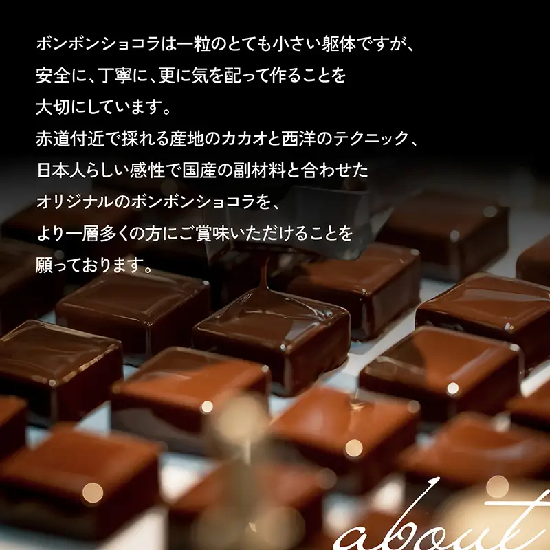 チョコレート ボンボンショコラ アソート チョコレート【18種】